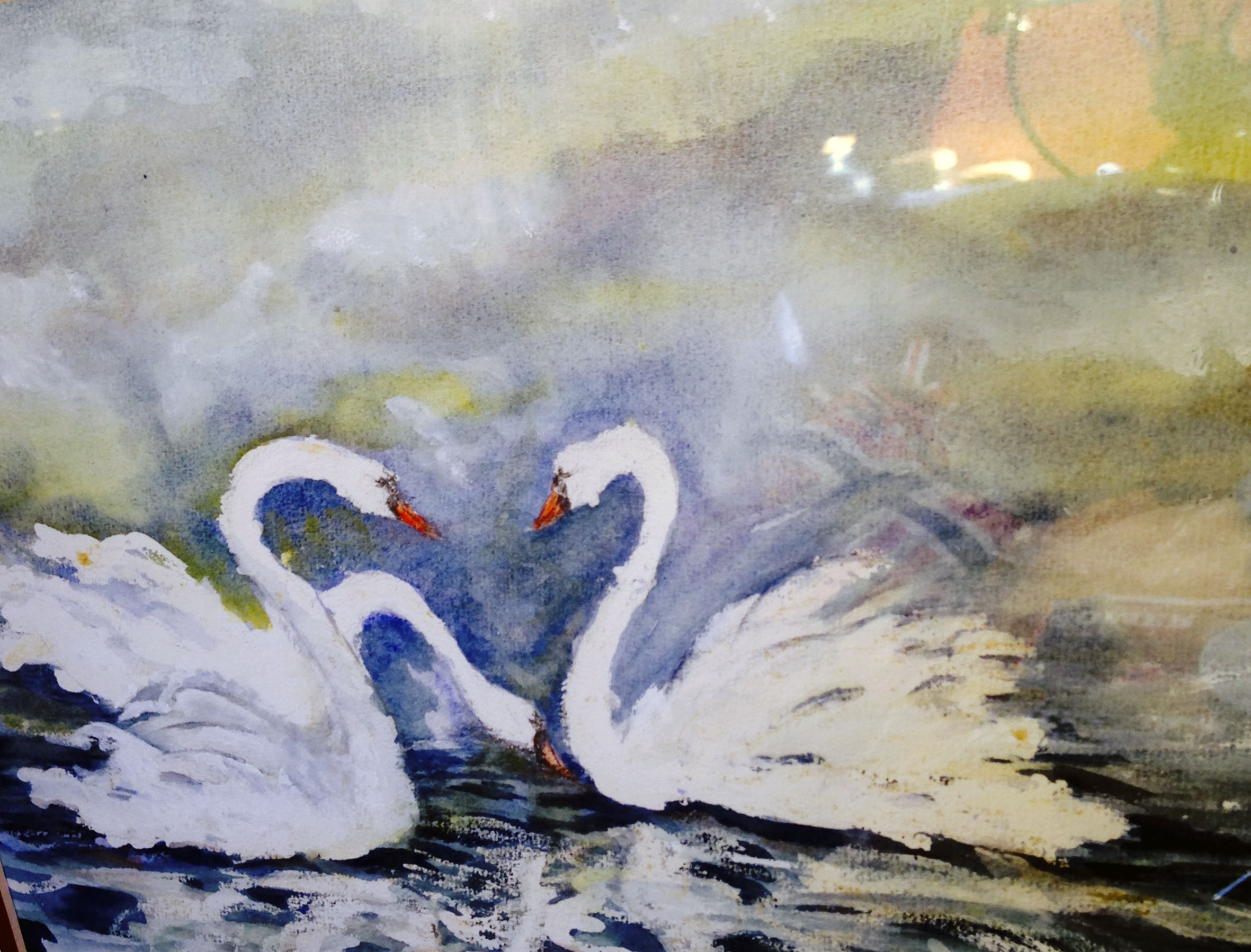Witte Swaan, Aquarell, 30 x 50 cm.